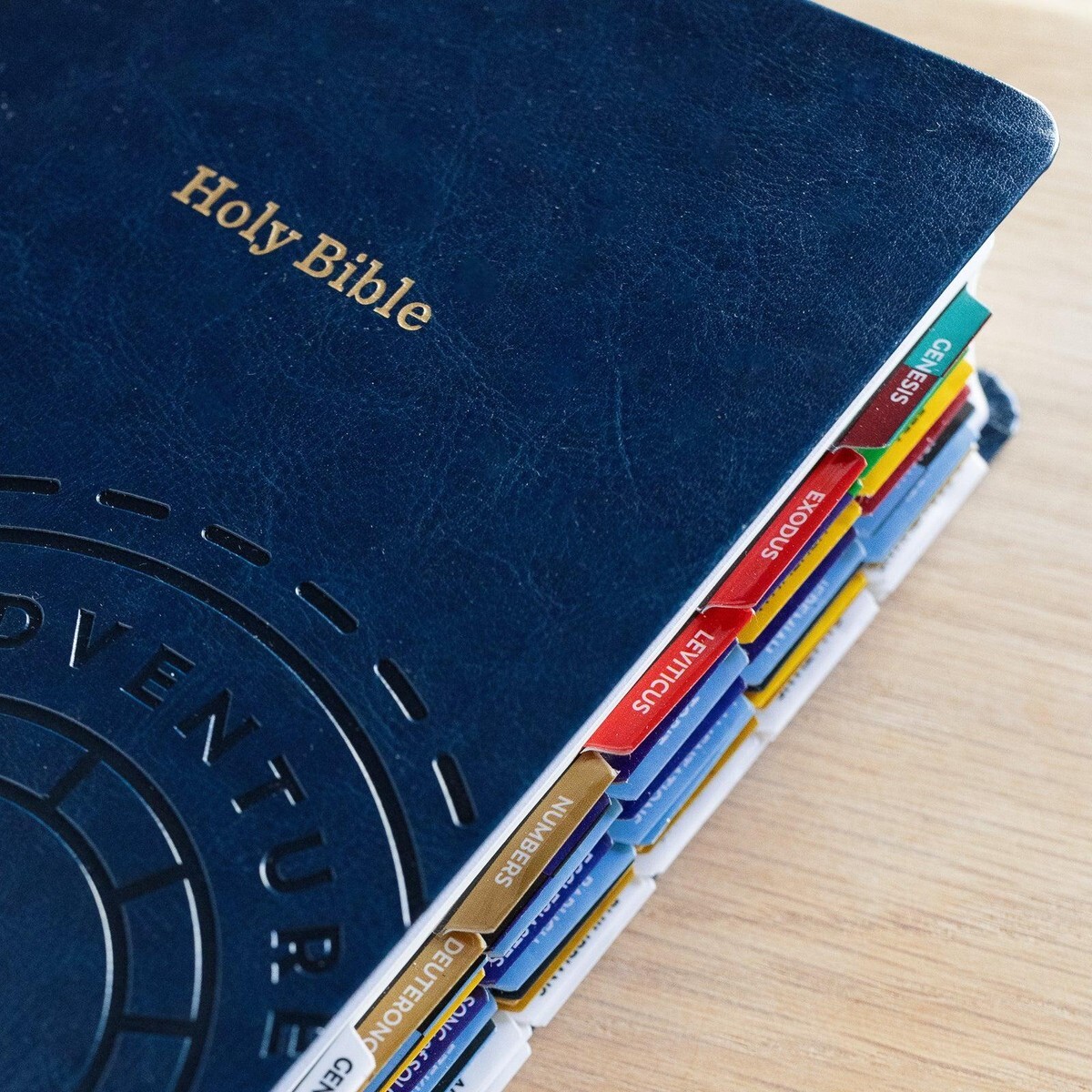 Holy Bible Up Close